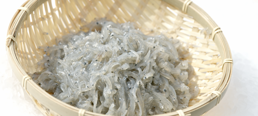 スクリーンショット 2021-11-27 13.00.18