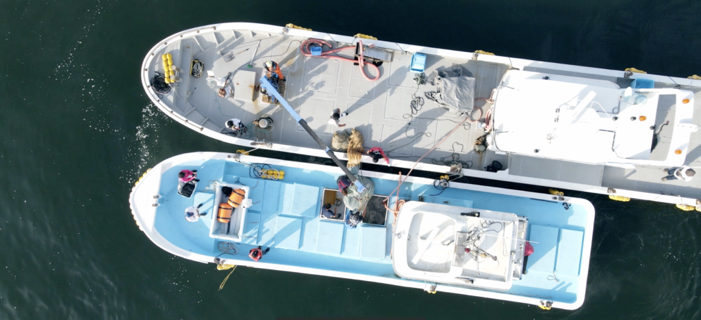 スクリーンショット 2021-11-27 13.05.06